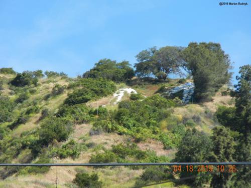 A Close-up of the “M” on the BigM mountain that is at the apparent heart of all the UFO & resulting military activity in Monrovia, CA.

(c)2020MarianRudnyk
